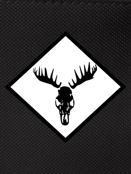 Moose Skull