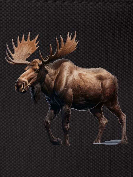 Elk