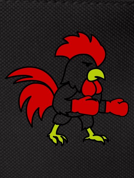 Boxer