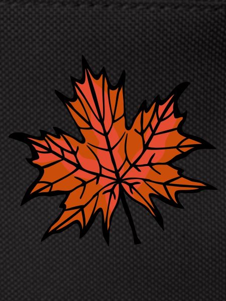 Feuille d’automne 2