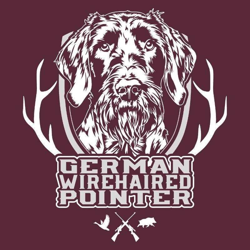 German Wirehaired Pointer Jagdhunde Hunde Wilsigns