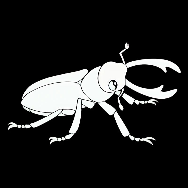 insect