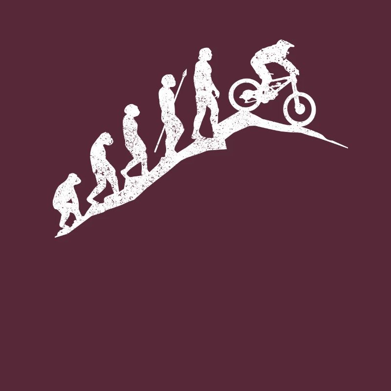 Mountainbike MTB Evolution Geschenk