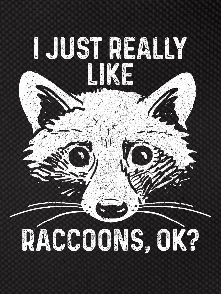 Raccoon Funny Gift