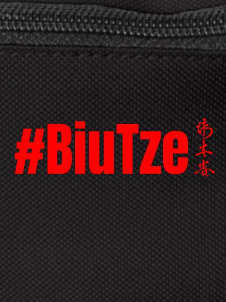 WingTsun BiuTze