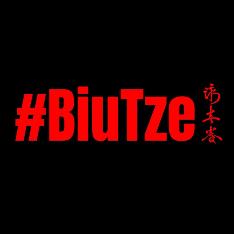 WingTsun BiuTze