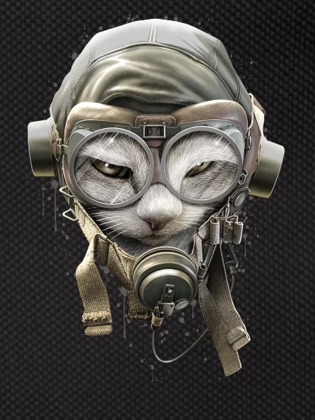 PILOTCAT (Splashes)