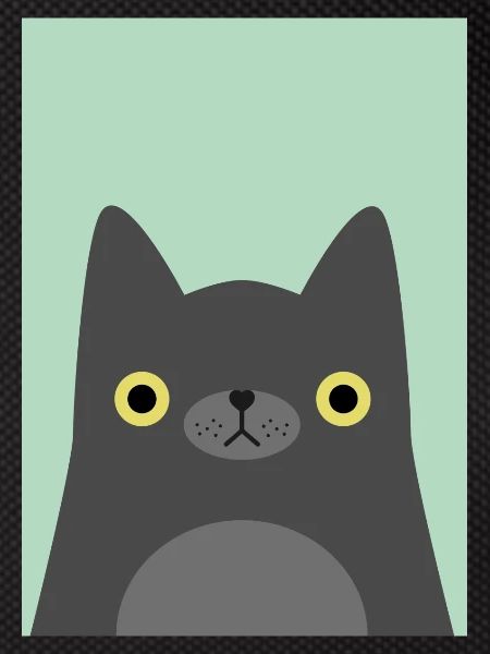 Black cat