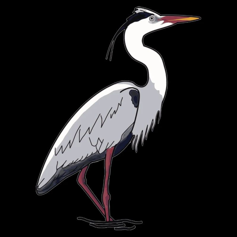 Grey Heron, Heron