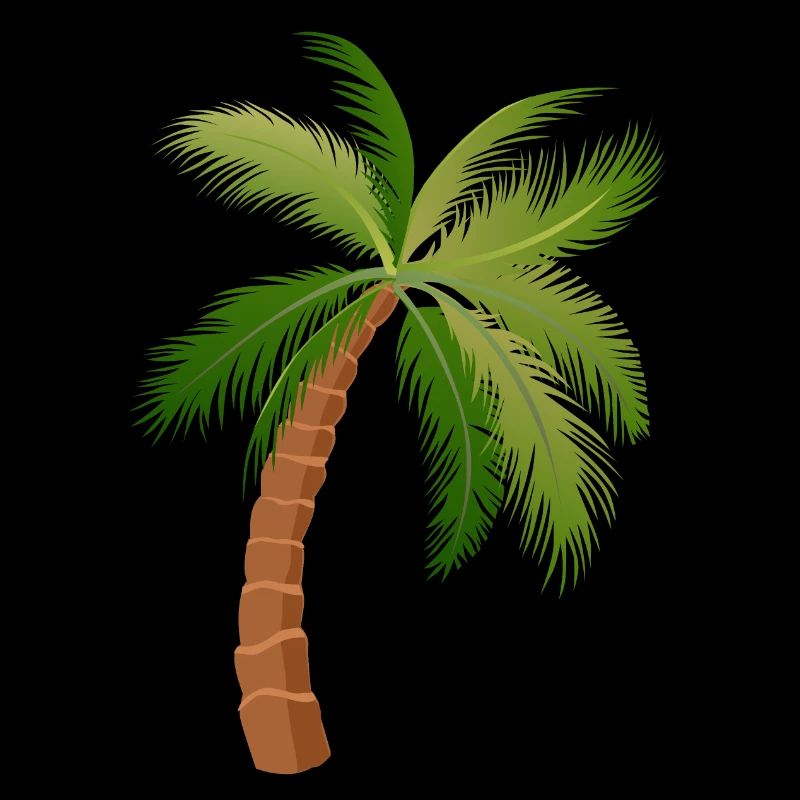 palm tree palm palms 1