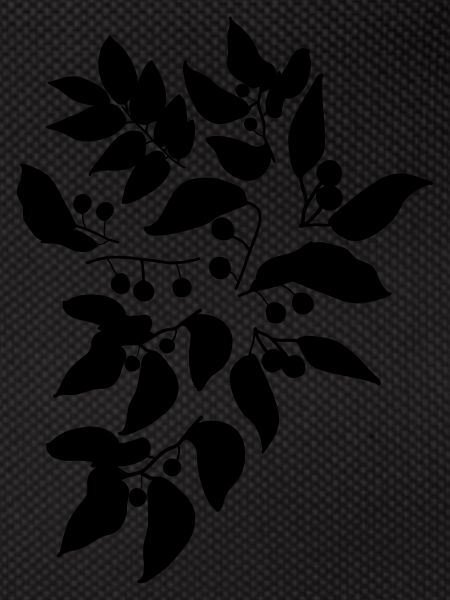 berries c1