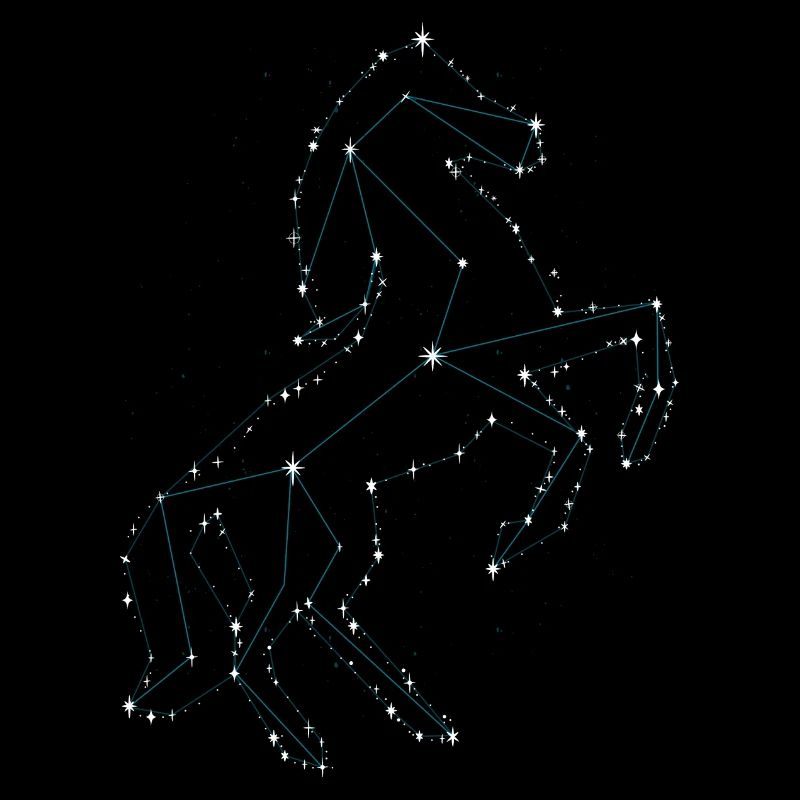 Pferd
