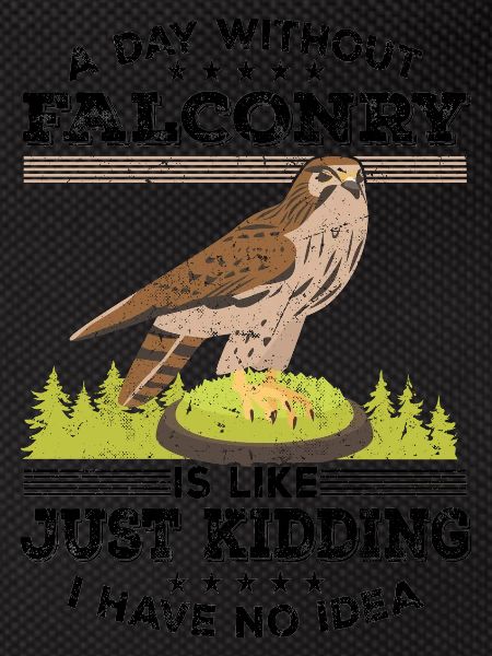 Falconry