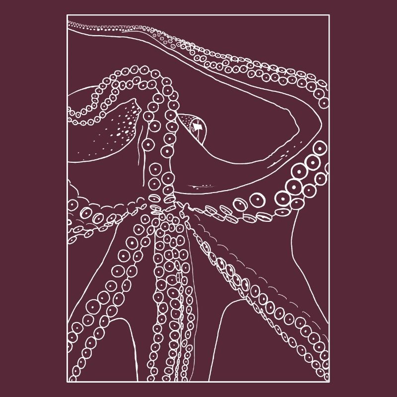 Octopus from below with frame