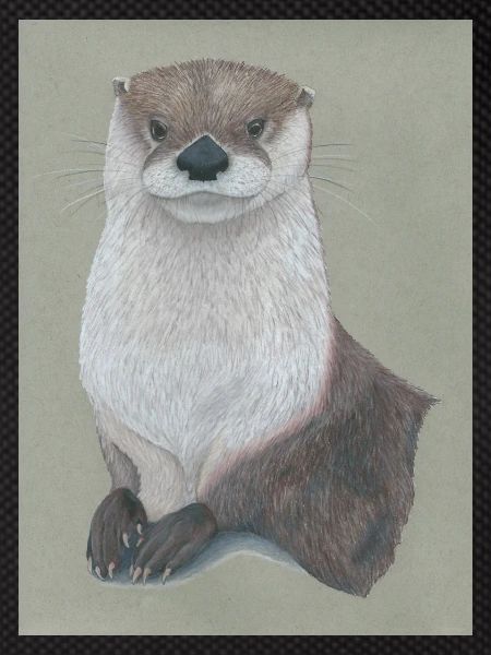 230324 Otter 3