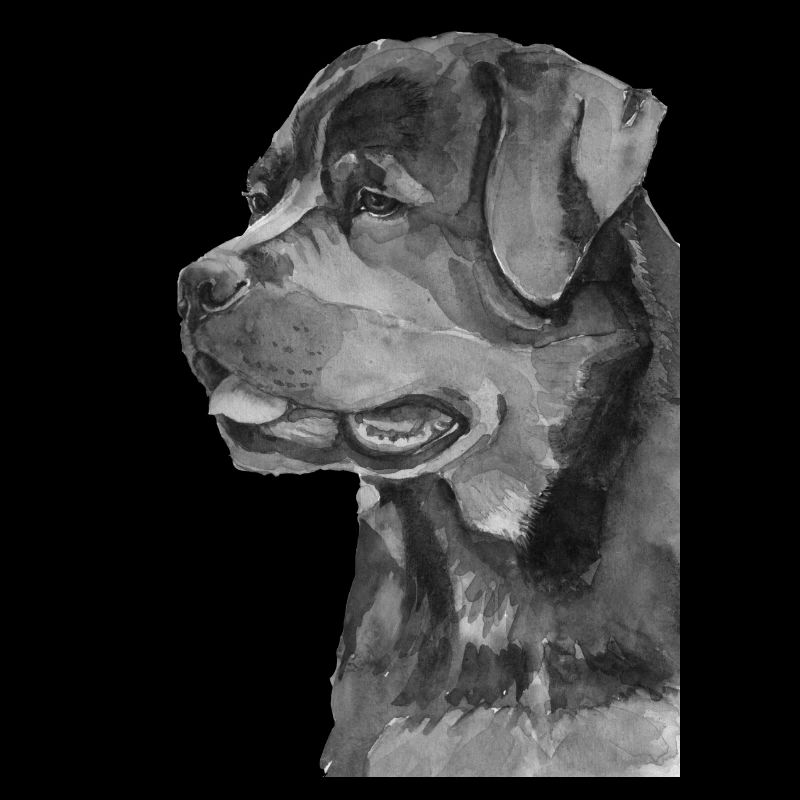 Rottweiler s/h