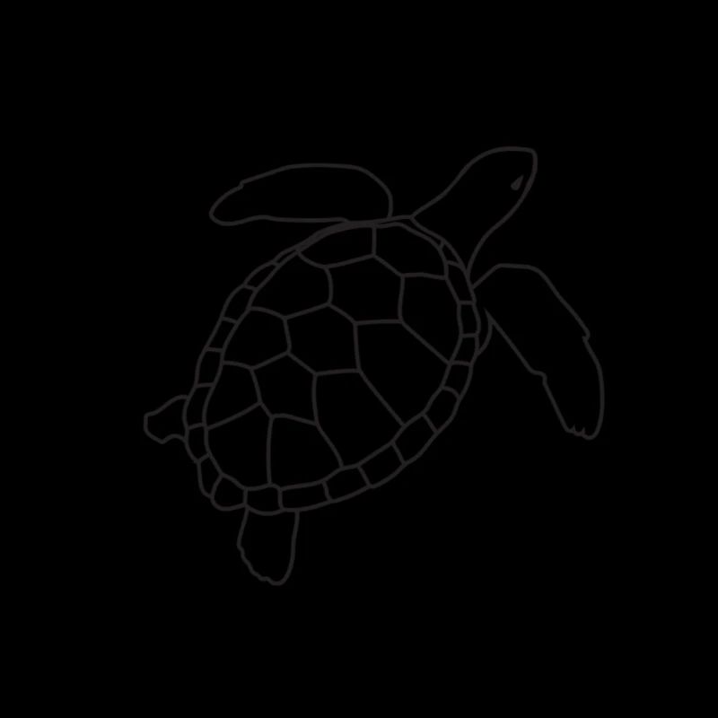 Ich möchte ans Meer , Schildkröte