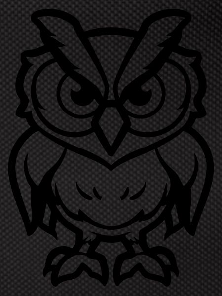 Owl Comic