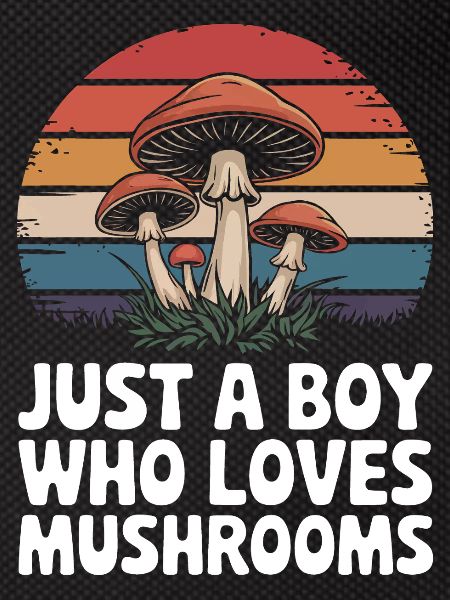 Champignons Champignons Champignon Champignon