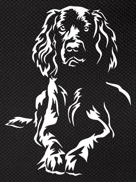Field Spaniel "Black Edition"