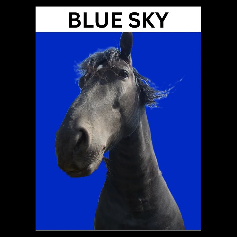 Blue sky and horse