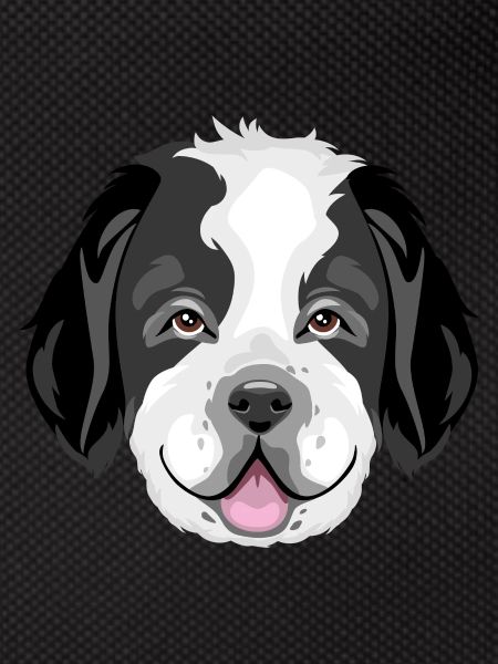 Saint Bernard head