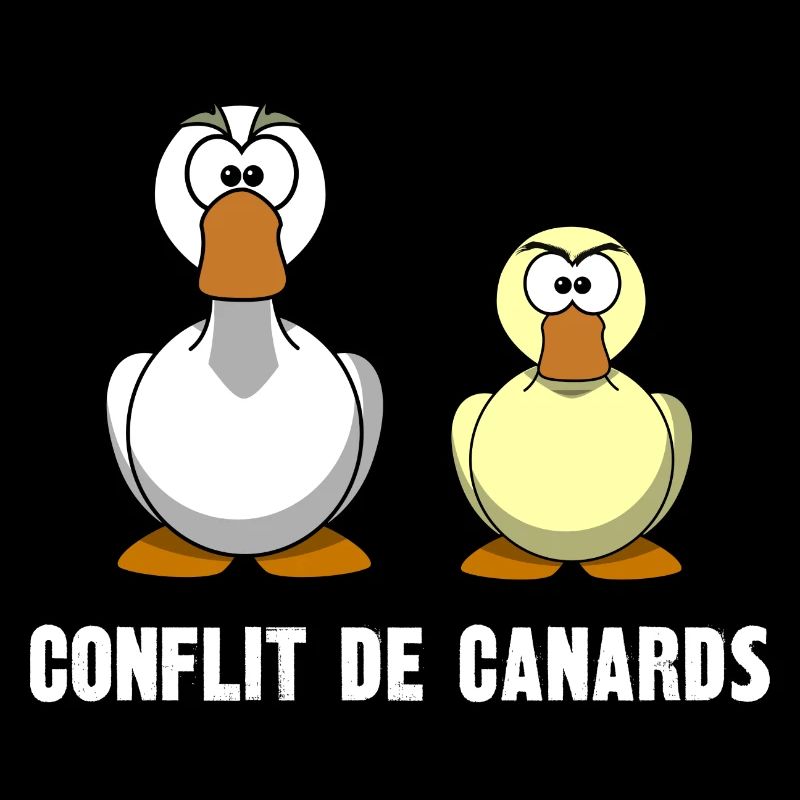 conflit de canards