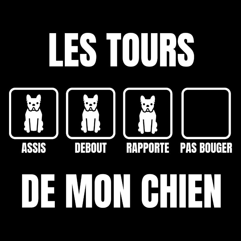 les tours de mon chien