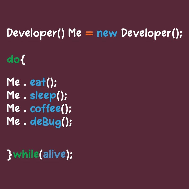 Developer Graphic Coder Programmer Computer Geek P