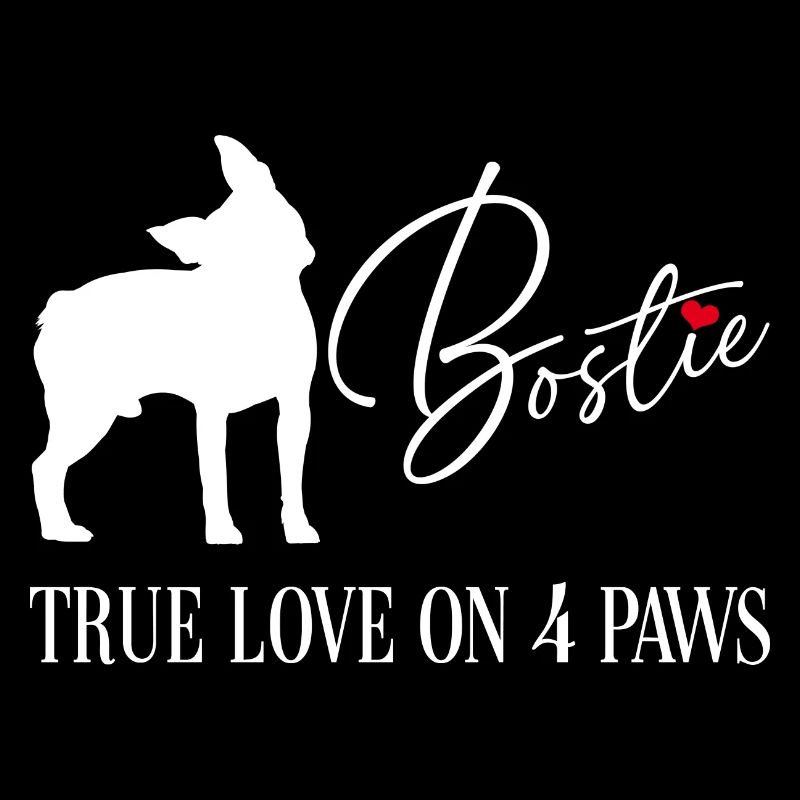 Bostie true love on four paws