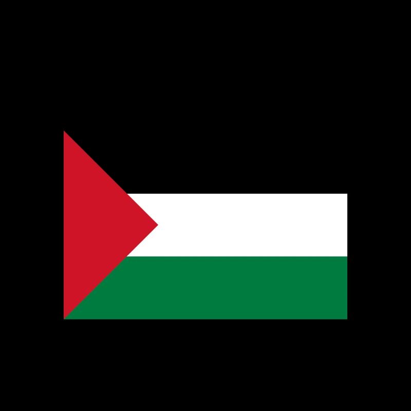 Libérez la Palestine avec drapeau