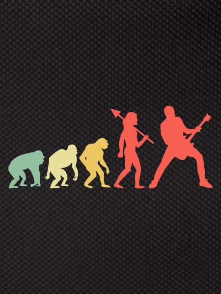 Evolution Bassiste, Bassiste, Musicien