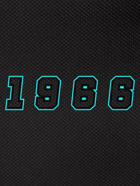 1966 Year Number