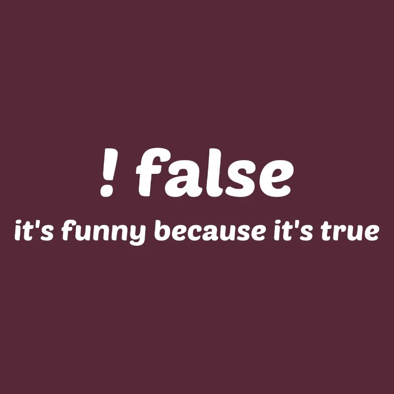 False It's Funny Because It's True Programmer Comp