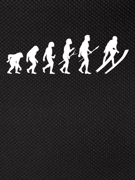 Ski Evolution