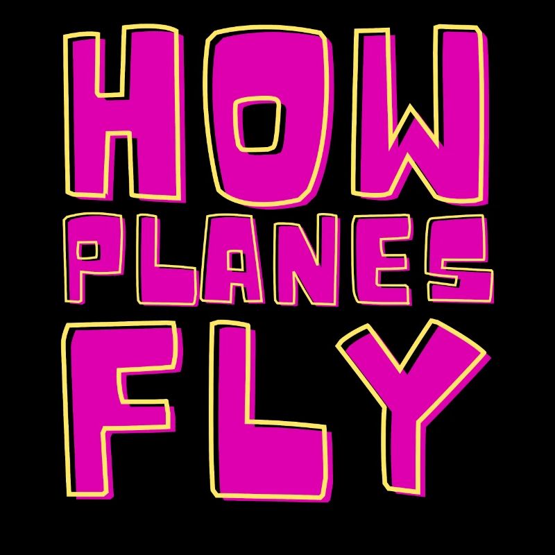 How Airplanes Fly Design for Pilots