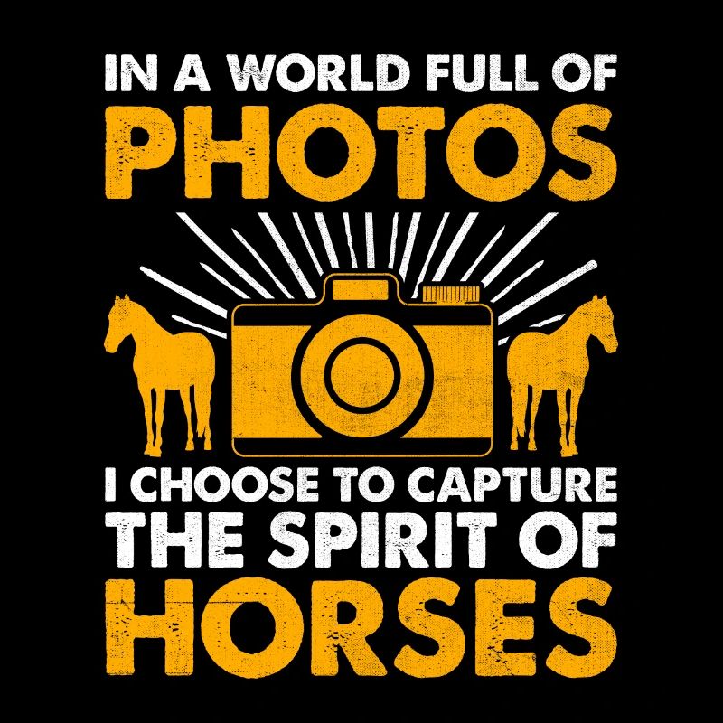 Pferdefotografie Reiten Pferde Hobby Ph