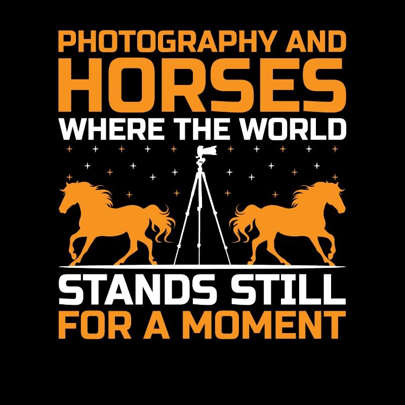 Pferdefotografie Reiten Pferde Hobby Ph