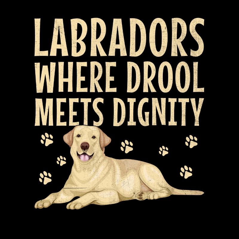 Labradors Where Drool Meets Dignity Labrador Retri
