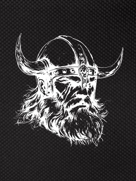 Vikings Nordic