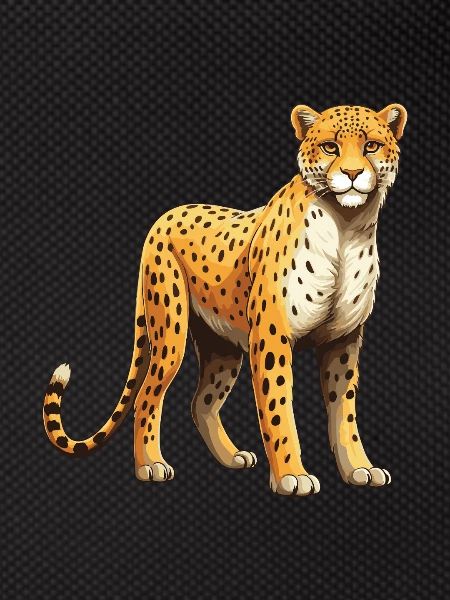 Cheetah animal