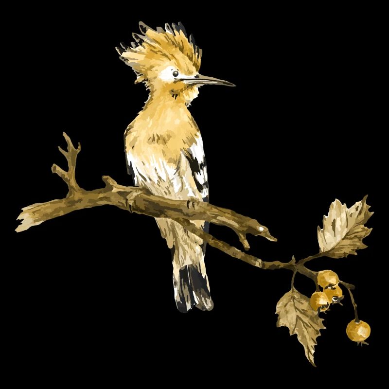 Oiseau coloré