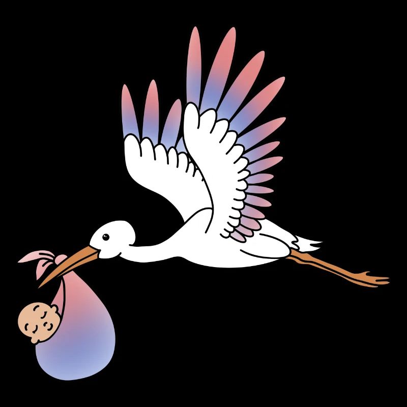 Storch