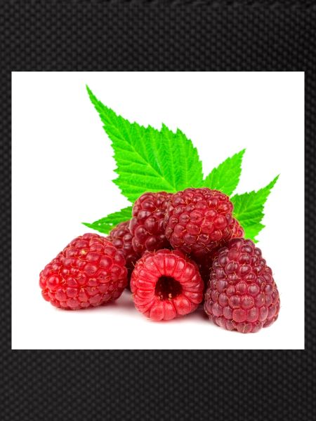 Himbeere. raspberry