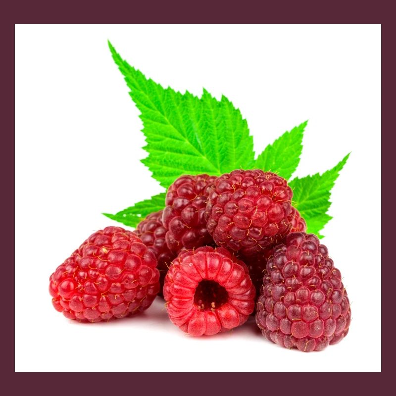 Himbeere. raspberry