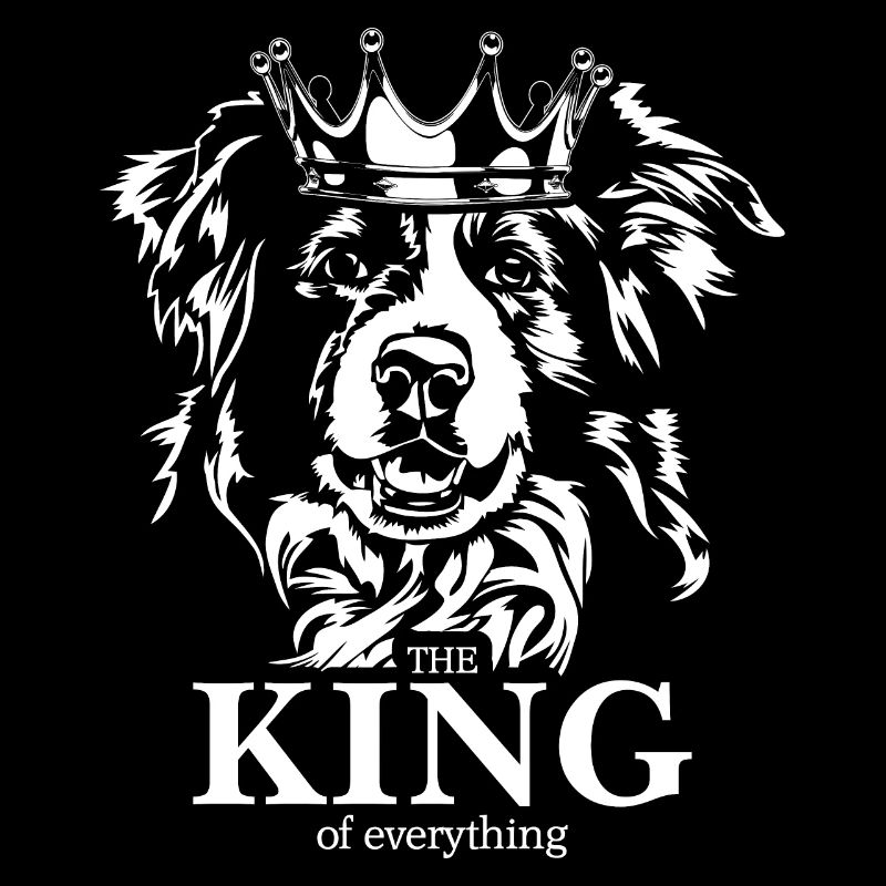 BORDER COLLIE King Hundespruch Hunde Wilsigns