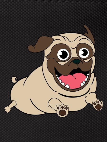 Nacho the Pug