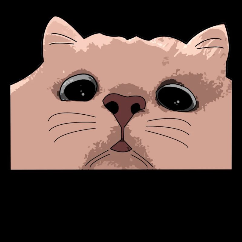 whazzup Katze