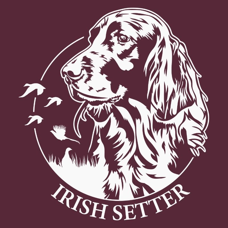 Irish Setter Jagdhund Jagdhunde Hunde Wilsigns