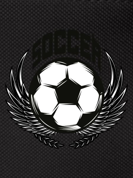 Ballsport